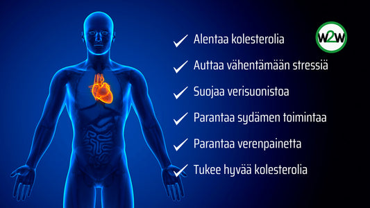 Tehokkaita tapoja pitää huolta sydän ja verisuoniterveydestäsi